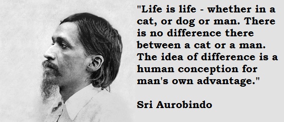 Sri Aurobindo | Meditation and Philosophy