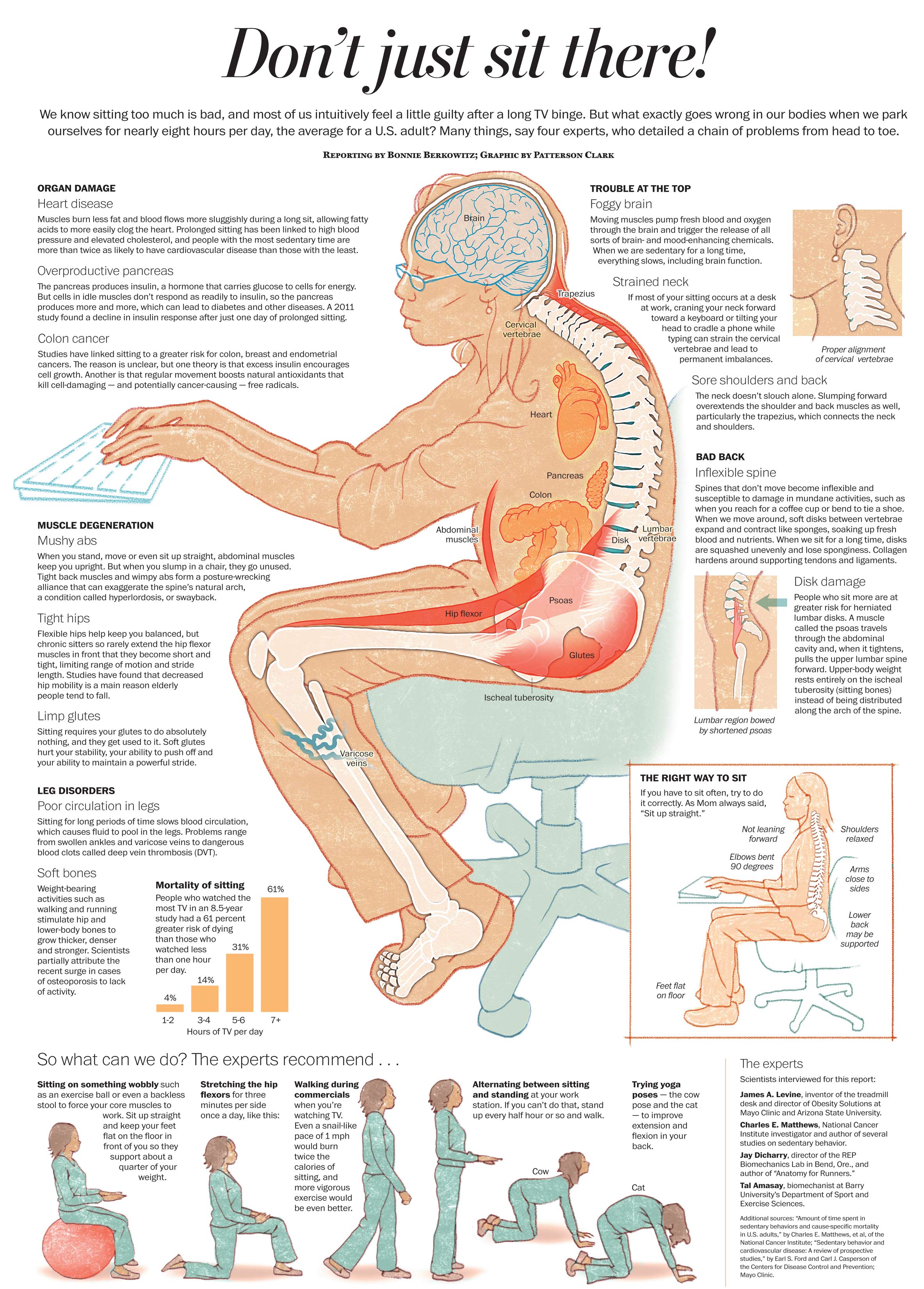 Health Hazards of Sitting | Live Yoga Now
