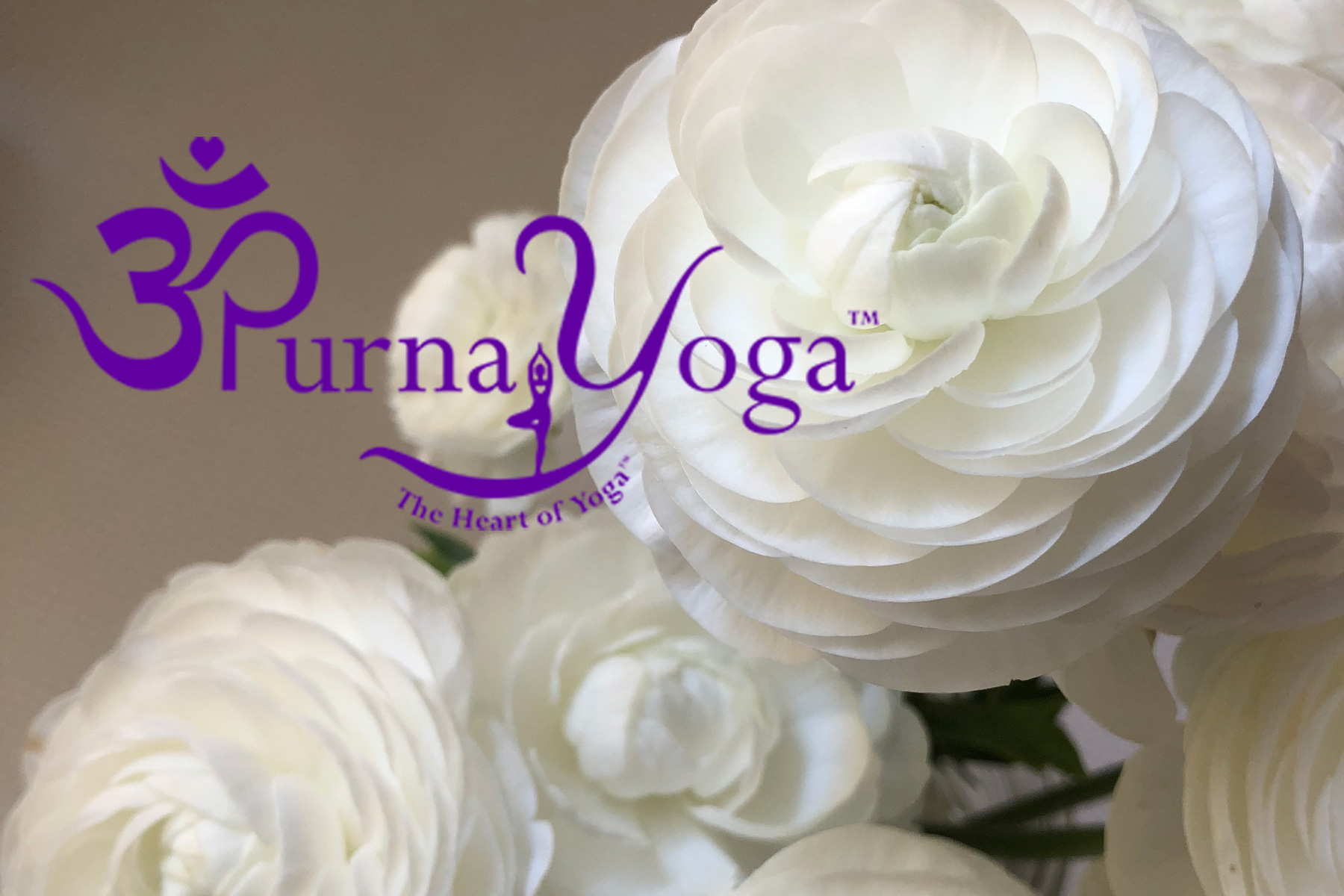 Purna Yoga College Teacher Training