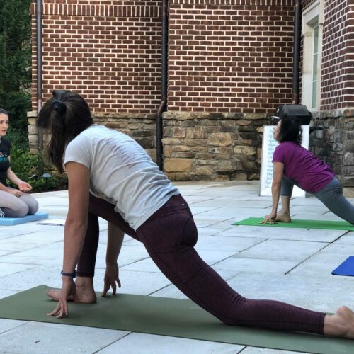 Practicing Teaching | Purna Yoga College