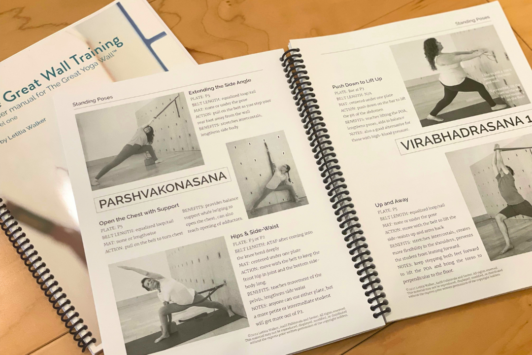 Great Yoga Wall Training | Purna Yoga 828