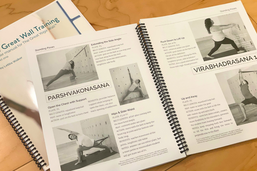 Wall Yoga: A Manual for Yoga Wall Practice and Instruction