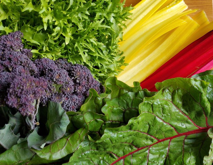 A close-up photograph of purple broccoli, red and yellow chard, and bright green frizee.