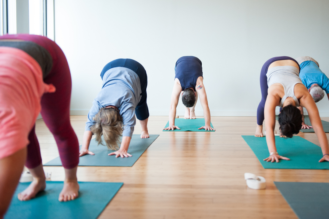 A photograph of several yoga students in Downward-Facing Dog pose