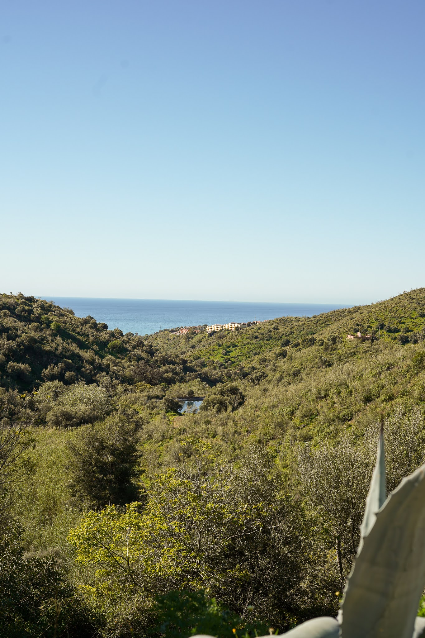 the view to the Mediterranean Sea from the yoga studio at Santillan